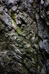 A gloomy wall of a mine, cave, with rough traces of gouging. The stone is covered in places with moss. A cave is lit with a natural vibrant light from above