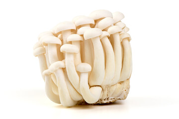 White Shimeji Mushrooms, Isolated on White Background