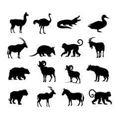 Silhouette collection depicting various animals including mammals reptiles and birds in black and white