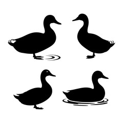 Silhouette depiction of four ducks in various poses standing or swimming on water surface design art