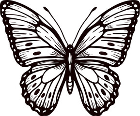 Black and white butterfly with detailed wing patterns
