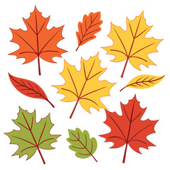 Colorful autumn leaves collection isolated on white background with various leaf shapes and colors
