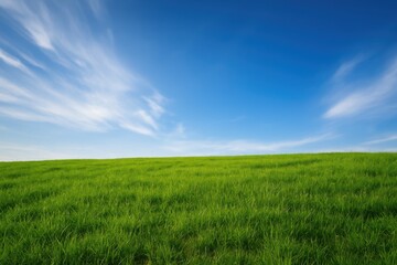 Obraz premium 青空と緑の草地の風景