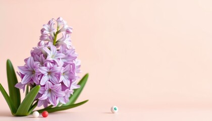 Obraz premium A delicate hyacinth blossom with unique and imaginative staging for spring theme