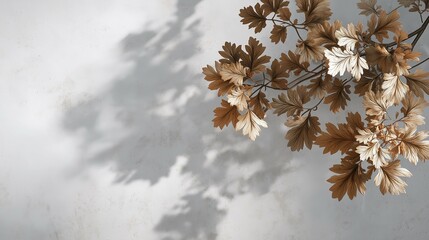 Empty white rectangle with hawthorn leaf shadows on grey wall, minimalist flat lay 3D illustration of simplicity and tranquility
