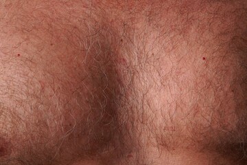 Fototapeta premium Hairy chest of an adult man. Detailed close-up of a hairy chest of an adult man. The image highlights the natural hair on the body