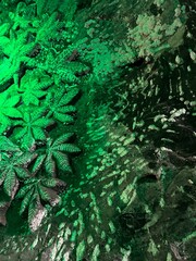 Salt wall Zipaquira colombia