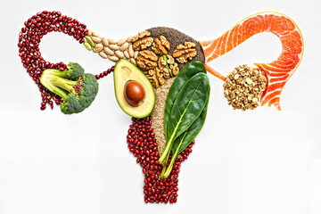 Сollage ща Uterus Shape Lay Out from Healthy Food for Reproductive System, Flat Lay Top View Creative Composition on White Clean Empty Background