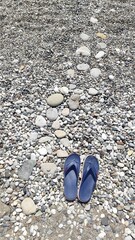 Nature itself has beautifully laid out the pebbles on the beach.