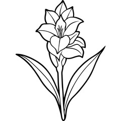 black and white flower