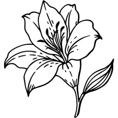 black and white flower