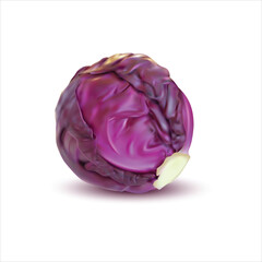 Fresh red cabbage isolated on white background