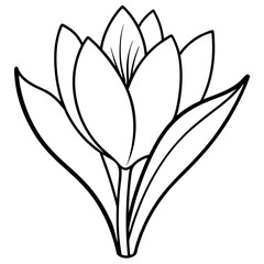 vector illustration of a flower