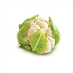 Fresh cauliflower isolated on white background