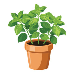 Bushy Green Plant in Pot