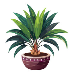 Indoor cordyline plant in ceramic pot