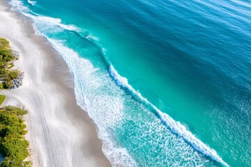 Tropical beach with palm trees. Summer travel	
