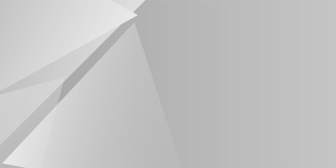 Simple white and gray shape modern abstract background. texture white pattern nice