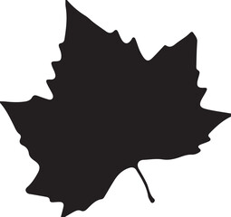 Autumn Plane Tree Leaf – Vector Illustration by Katte Krab © Jalal Ahmad 