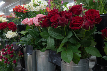 Assorted fresh roses in shades of red, pink, and white arranged in metal buckets on display in a florists shop