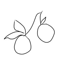 Two minimalist black outlines of oranges on a branch with leaves © Fashihah