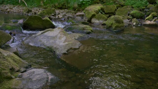 Rivi&egrave;re coulant au milieu des rochers dans une for&ecirc;t des Vosges avec le chant des oiseaux