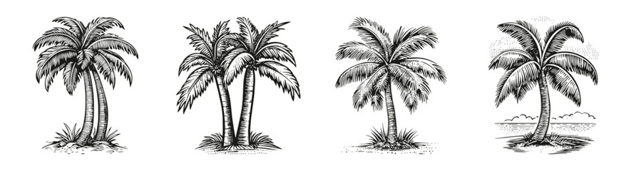 Retro Tropical Palm Trees Vector Illustration for Summer Vacation, vector illustration, engraving design, logo design set, black and white line, template design element