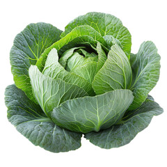Obraz premium Fresh Green Cabbage Head with Detailed Leaf Texture Close-up on a Dark Background