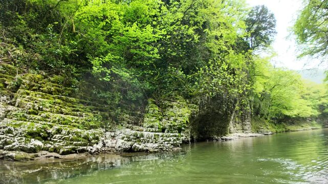 paddling enjoying a boat tour along the calm Abasha River, exploring the stunning natural beauty of Martvili Canyon in Georgia, with its lush green vegetation and moss-covered rock formations