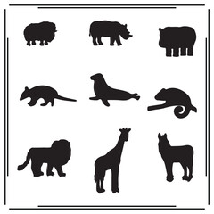 Wild Animal Silhouette Vector Set – Lion, Giraffe, Rhino, Hippo, Seal, Chameleon and More Exotic Wildlife Icons for Safari, Jungle, Zoo, Nature, Animal Print, and Graphic Design

