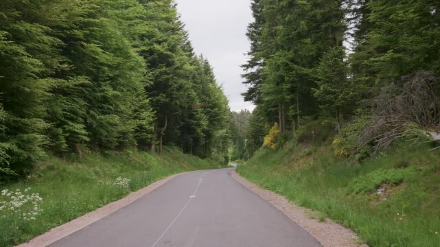 Route de montagne traversant une for&ecirc;t de sapins dans les Vosges