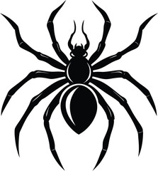  spider silhouette, long legs, creepy insect
