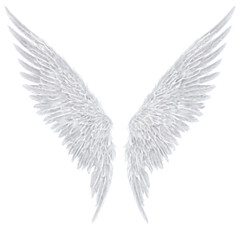 Obraz premium angel wings isolated on transparent background
