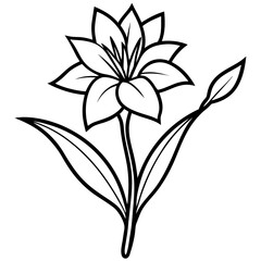 black and white flower