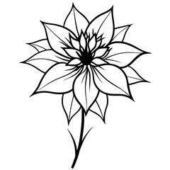 vector illustration of a flower