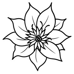 vector illustration of a flower