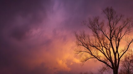   A tree devoid of foliage stands before a lilac sky dotted with a couple of wispy clouds and a handful of trees in the immediate vicinity