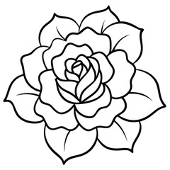 vector rose flower