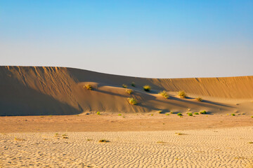 Sunset over the Al Khatim desert in Abu Dhabi, United Arab Emirates. Wave of golden sand dunes. Travel concept. Amazing nature landscape.