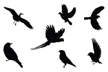 A black and white bird illustration. Birds silhouettes black vector