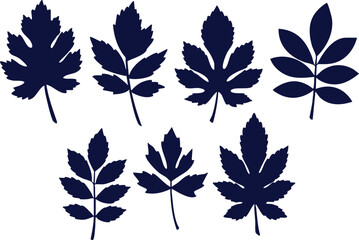Seven dark blue leaf silhouettes with varying shapes arranged on a white background in two rows