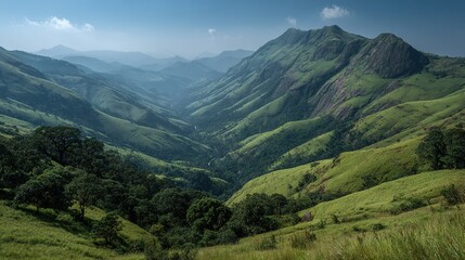Naklejka premium A breathtaking image of a valley with majestic mountains in the background, lush grass in the foreground, and towering trees framing it all The blue sky above is ad