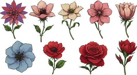A collection of eight colorful flower illustrations with varying shapes and petal arrangements on white