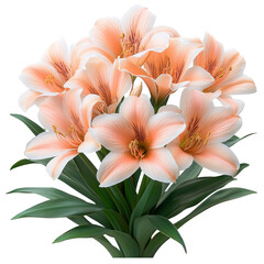 Fototapeta premium Elegant peach lilies bouquet illustration with realistic details and black background