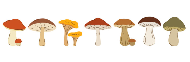 Hand-drawn set of various autumn mushrooms. Vector illustration perfect for seasonal design, packaging, forest themes, recipes, kitchen decor, and botanical projects.