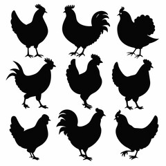 Fototapeta premium Hen silhouette bundle set vector design