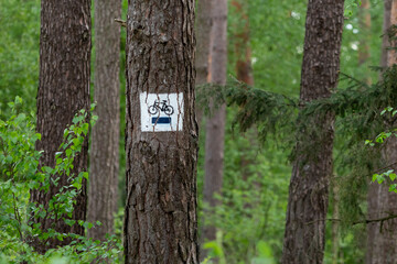 Woodland Bike Trail with Tree-Mounted Velo Sign – Outdoor Cycling Adventure Path
