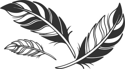 Obraz premium Elegant black feather illustration set with outlines and details for decorative design elements