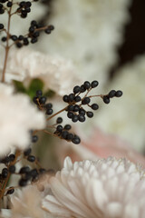 Close-up of black berries and soft pastel flowers with creamy white petals. Elegant autumn composition perfect for wedding design, greeting cards, branding, and floral backgrounds.