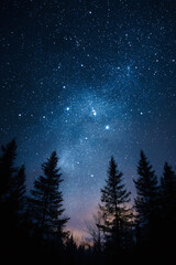 night sky with stars over a forest